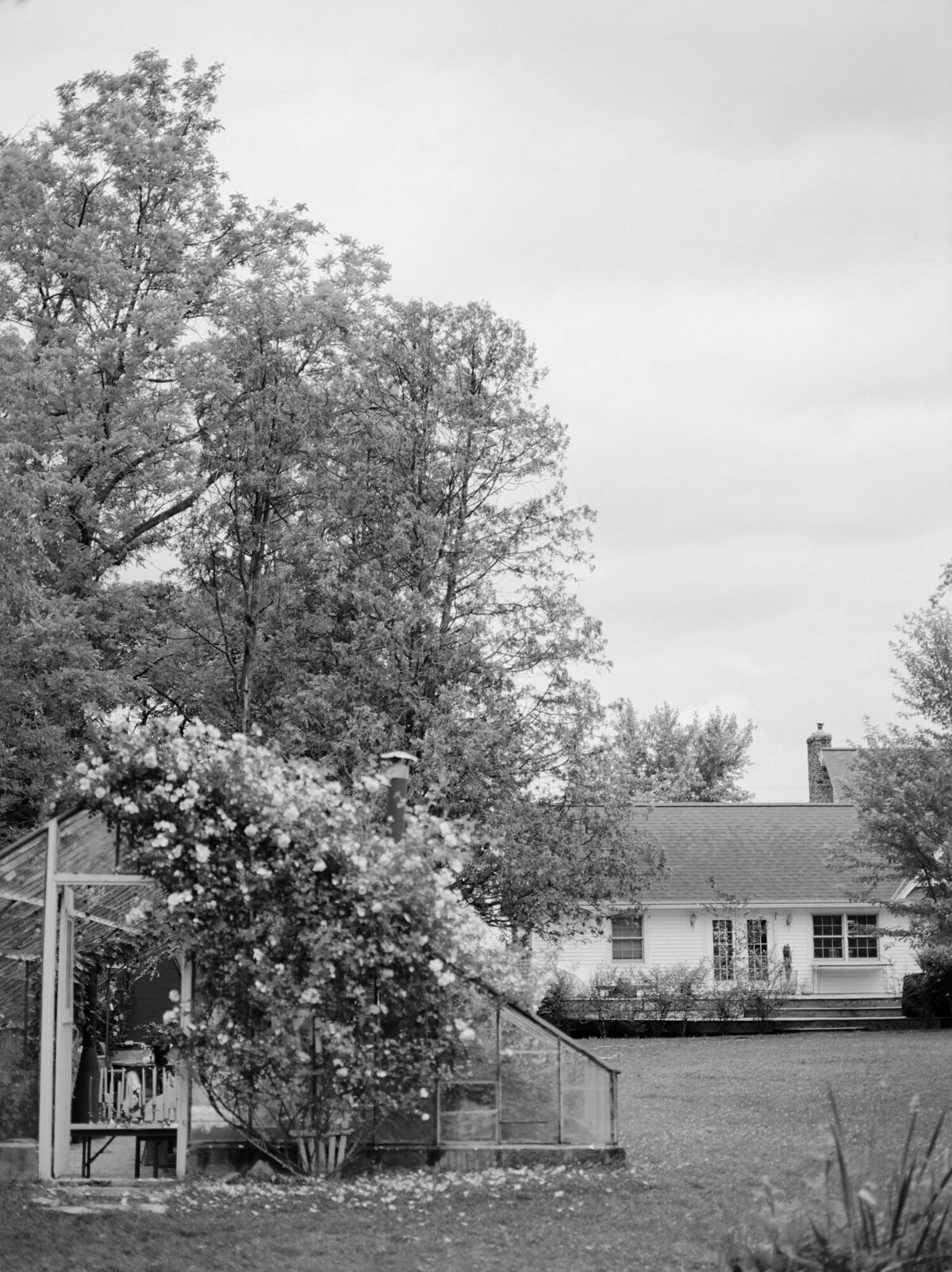 West Michigan wedding venue Glass House Community, greenhouse wedding venue