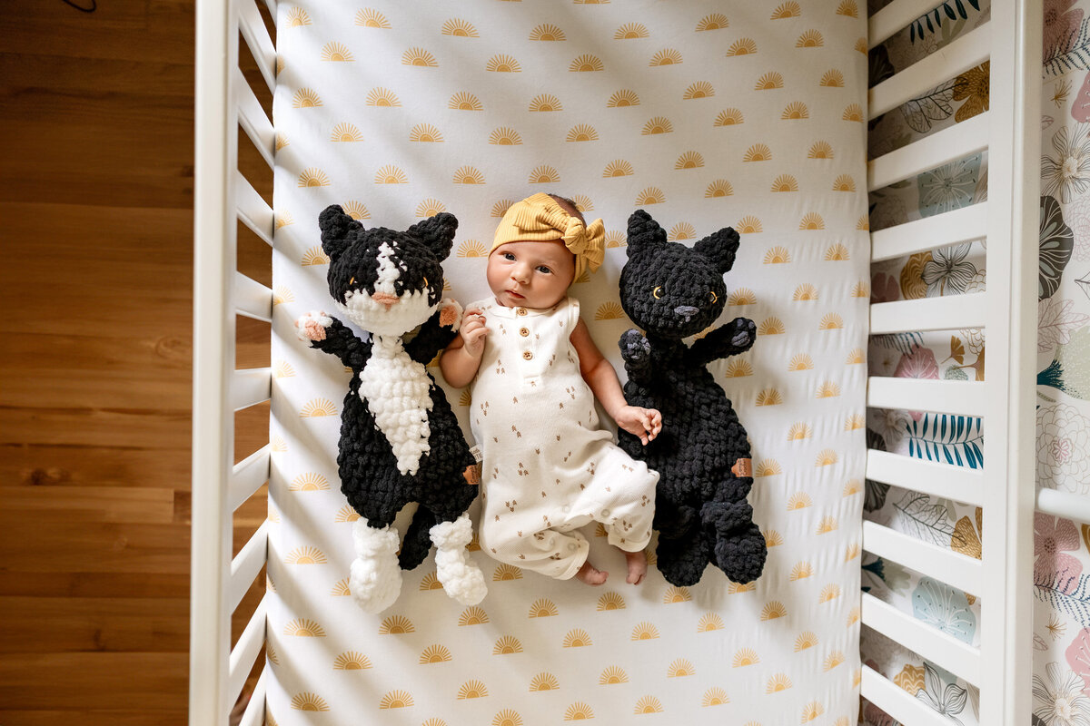 orono-baby-photography-minnesota-newborn-pictures.jpg  