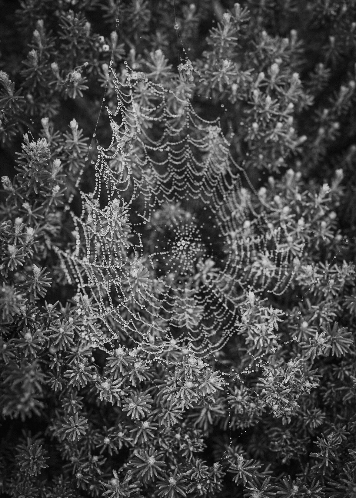 KEB_0587