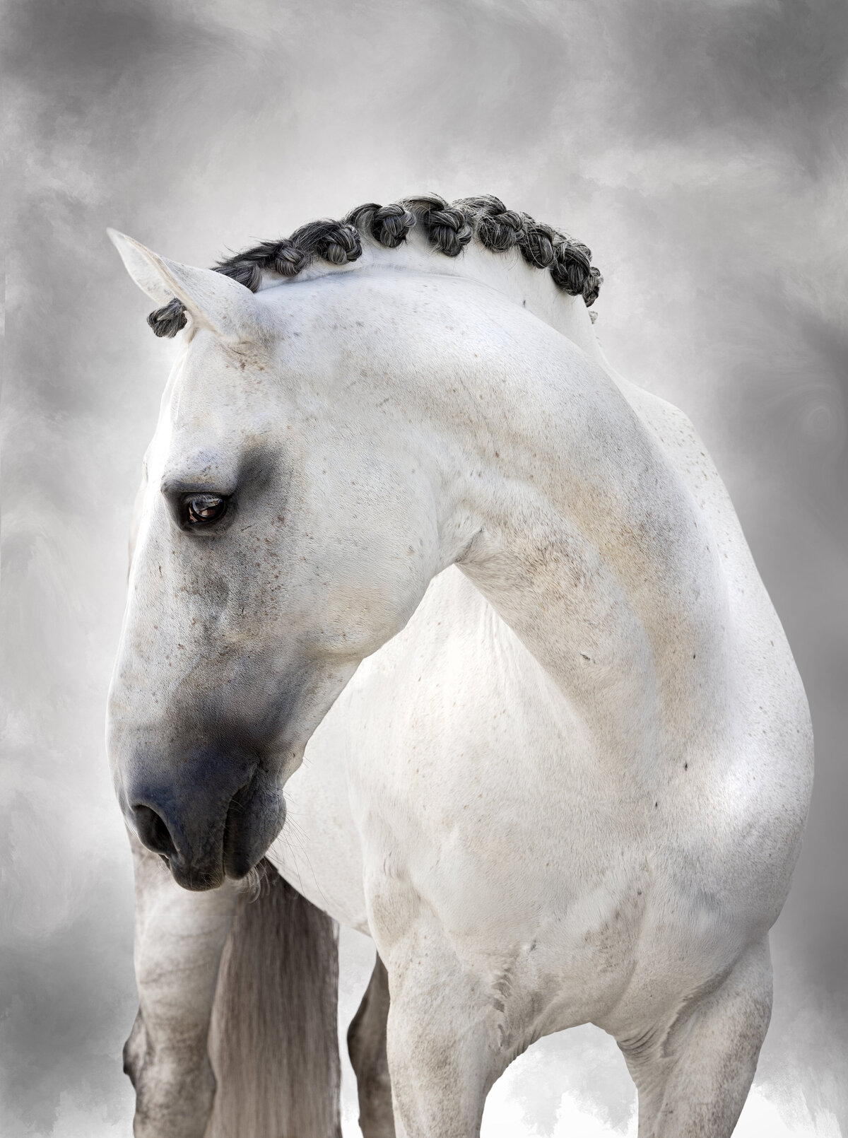 Painterly high res no logo