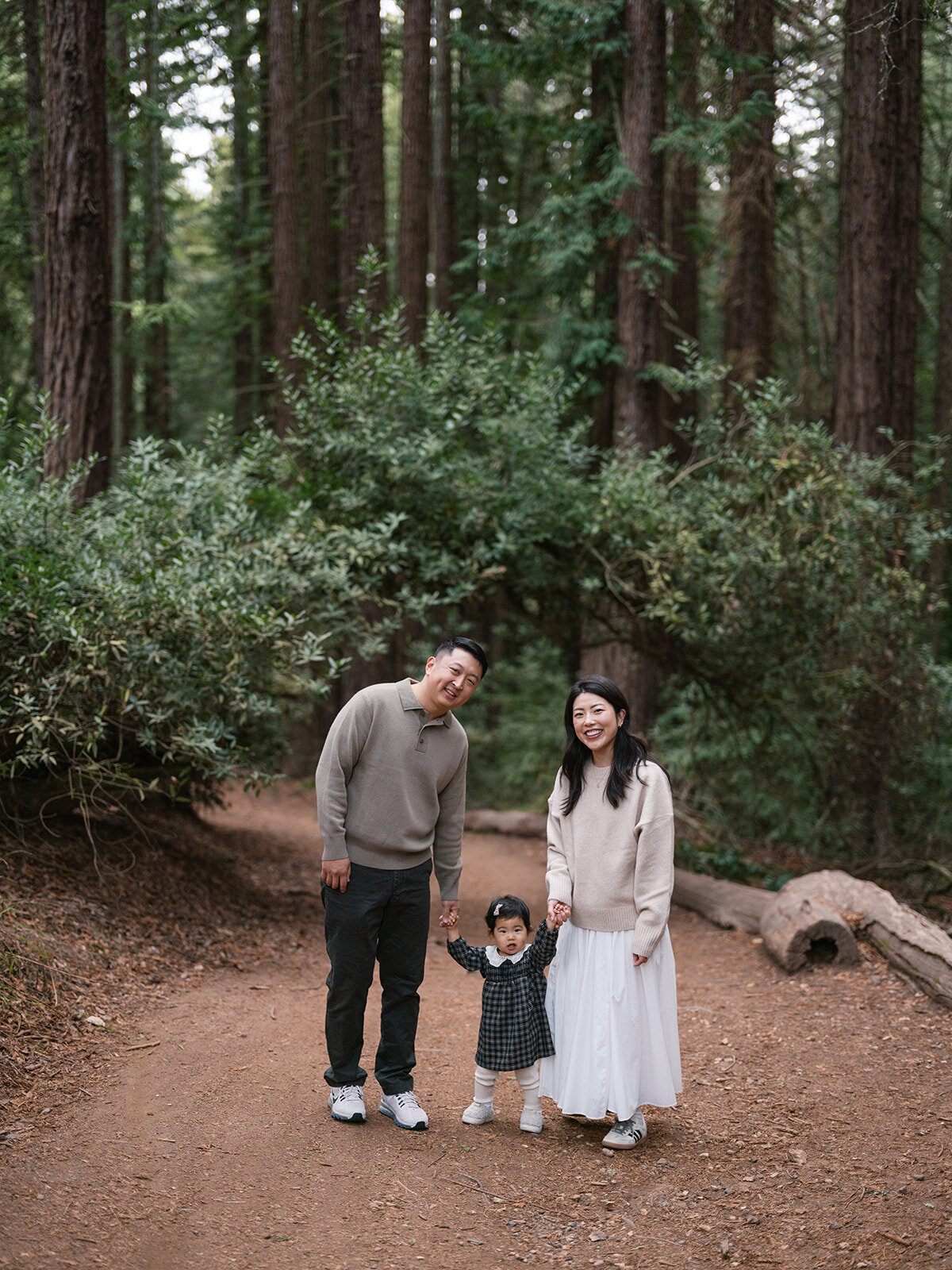 Lifestyle family session redwoods East Bay Oakland family photographer