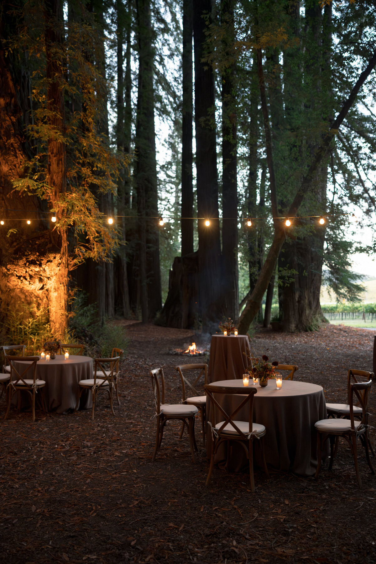 DT-2025-Celine & Gabe Highlights-176