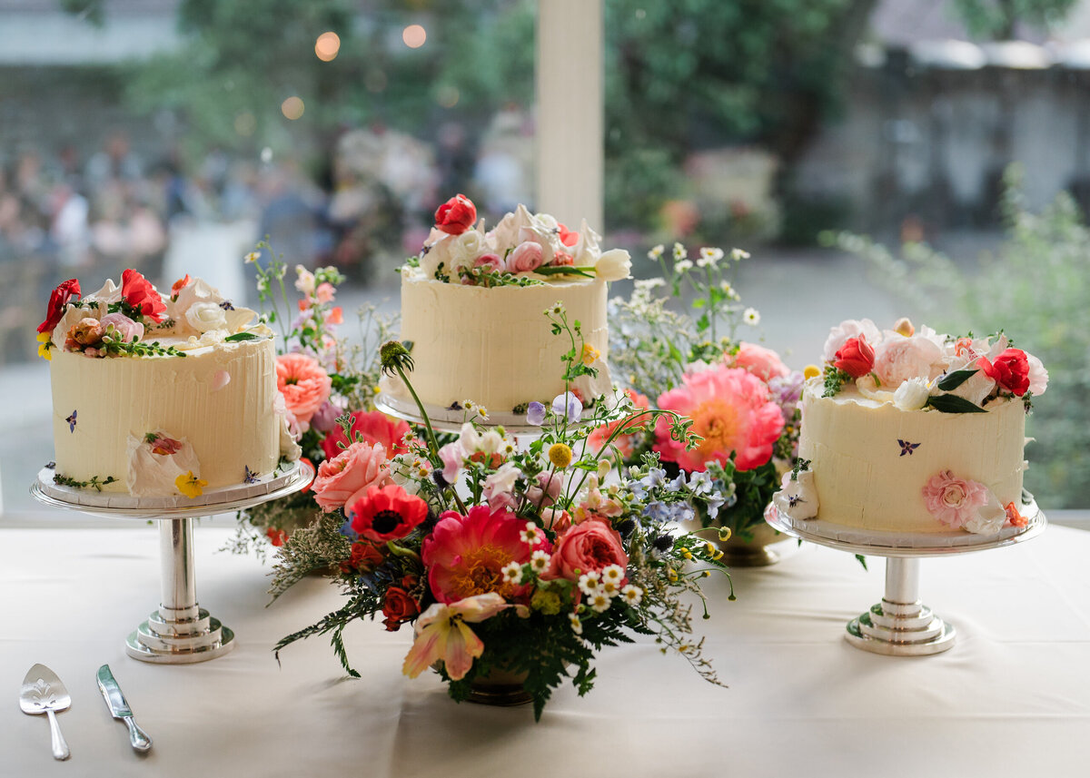Devin-Vlad-WeddingDay-1217-