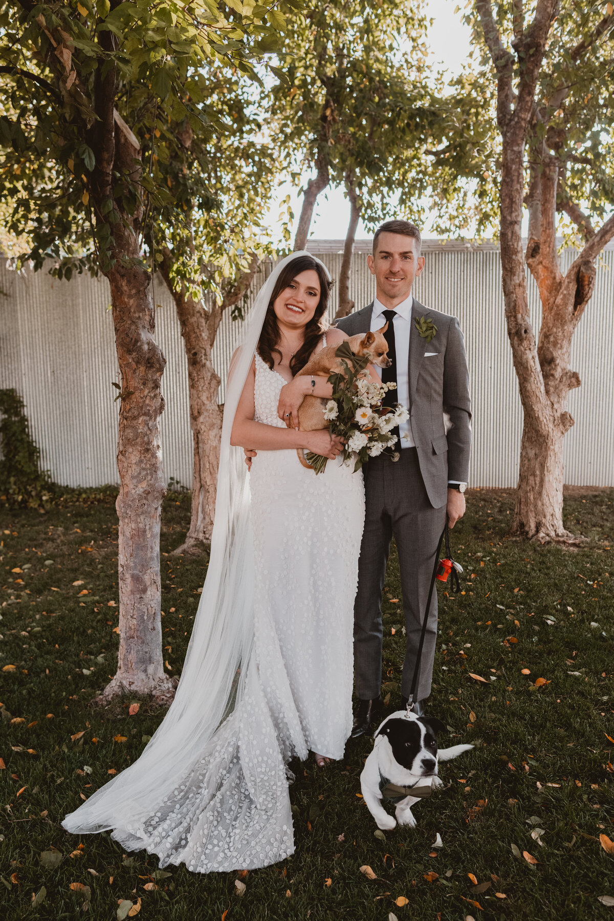 Bride and groom pose with their dogs at their wedding ceremony in Denver Colorado.