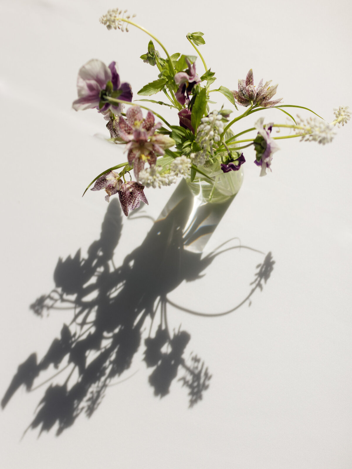 EMILY+CONOR-MCKINLEY-LAGUNA-BEACH-LOS-ANGELES-CALIFORNIA-WEDDING-LUXURY-UPSCALE-RANCH-AT-LB-99