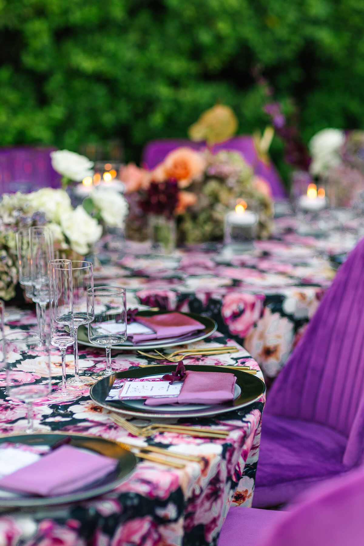NASE Dinner Under the Stars 2024-66