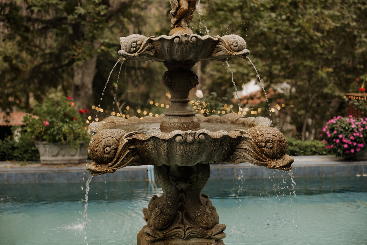 Rancho_las_lomas_Raven_berlin_photo-575