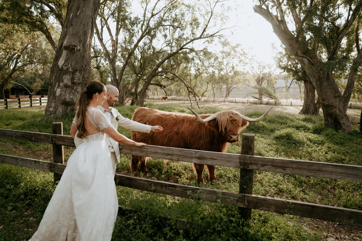2024-02-17-Georgia + Daniel Ravenswood Homestead Wedding Sneak Peeks Daisy + Pine-121