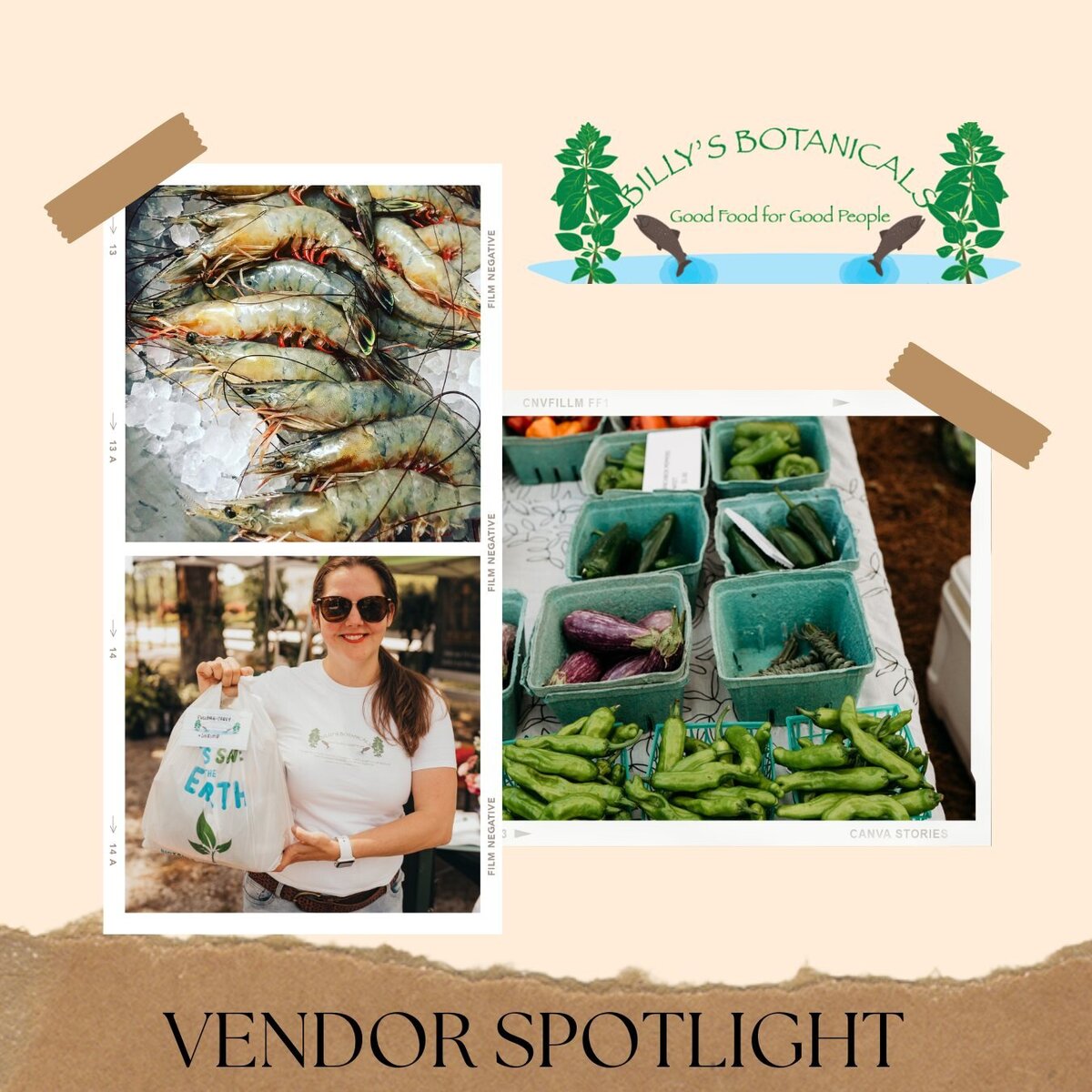 Cue The Content Highlights