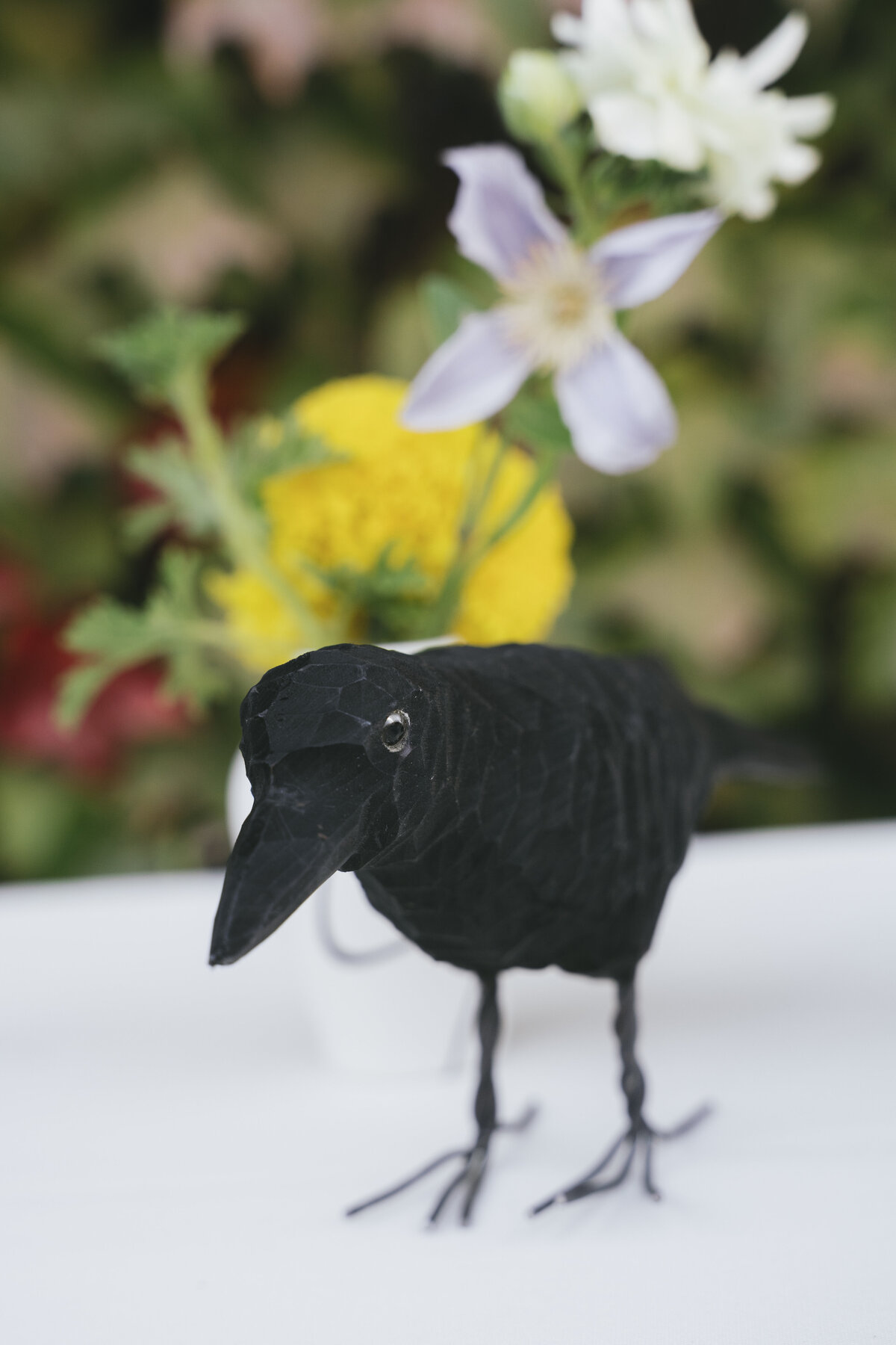 9-20-25-Jackie-Daniel-Viansa-Wedding-Cat-Coppenrath-Photo-632