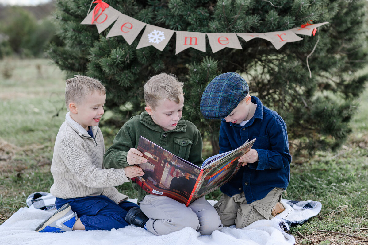 Christmas Minis with 3 brothers photo by Michelle Lynn Photography located near Louisville, Kentucky