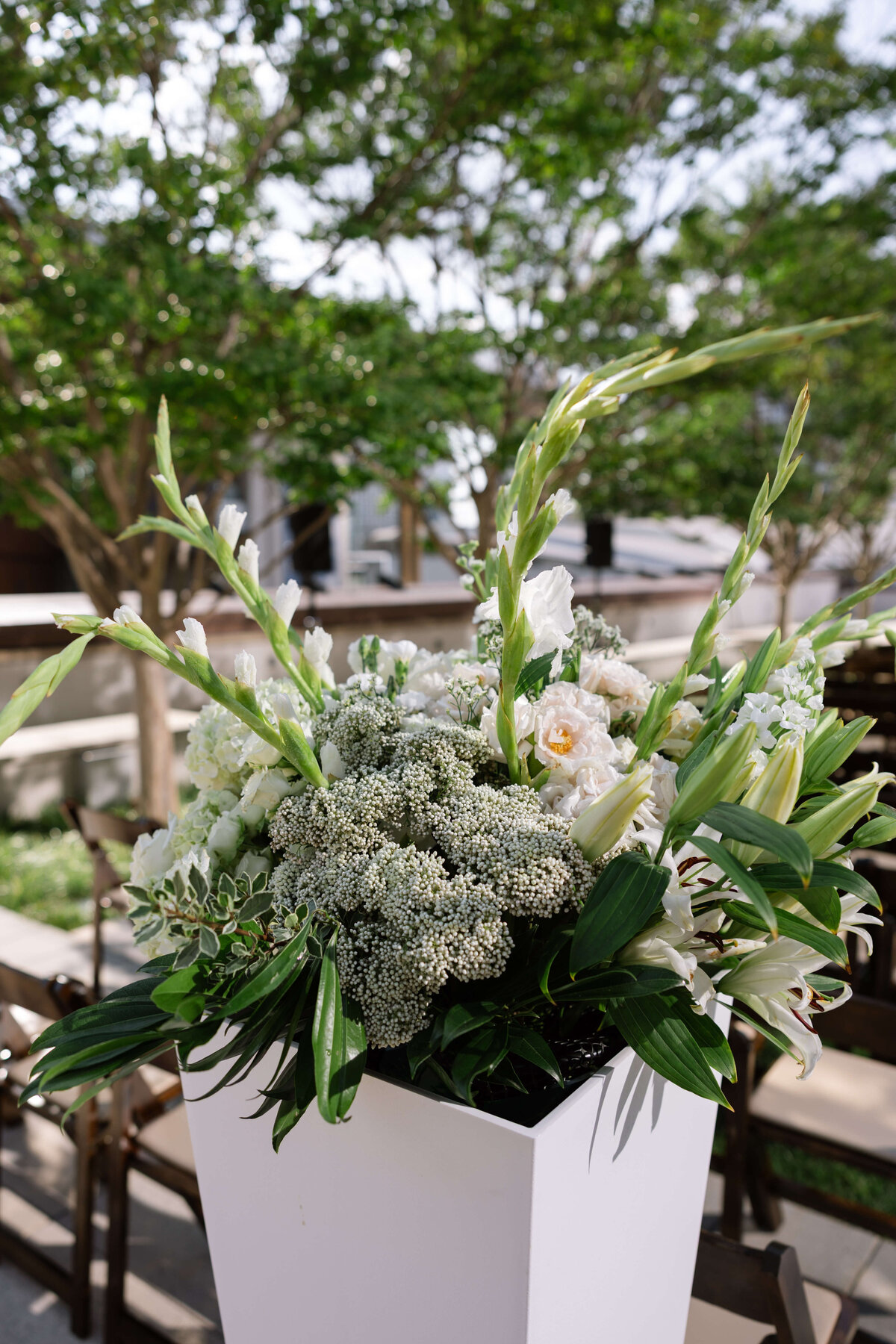 The Whites_Sneak Peeks-122