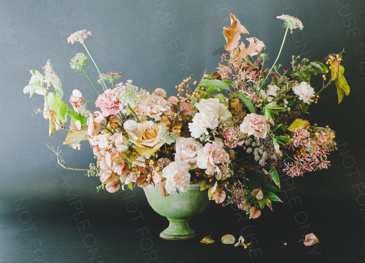 DO-NOT-USE-The-Photo-Editor-s-Guide-Katie-Rivera-EXAMPLE-PHOTO-43