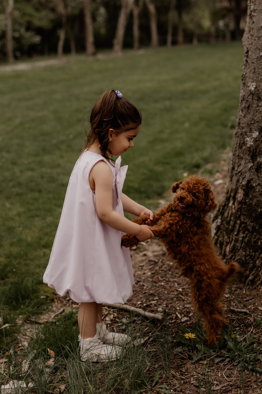 family photoshoot at ringwood botanical gardens nj