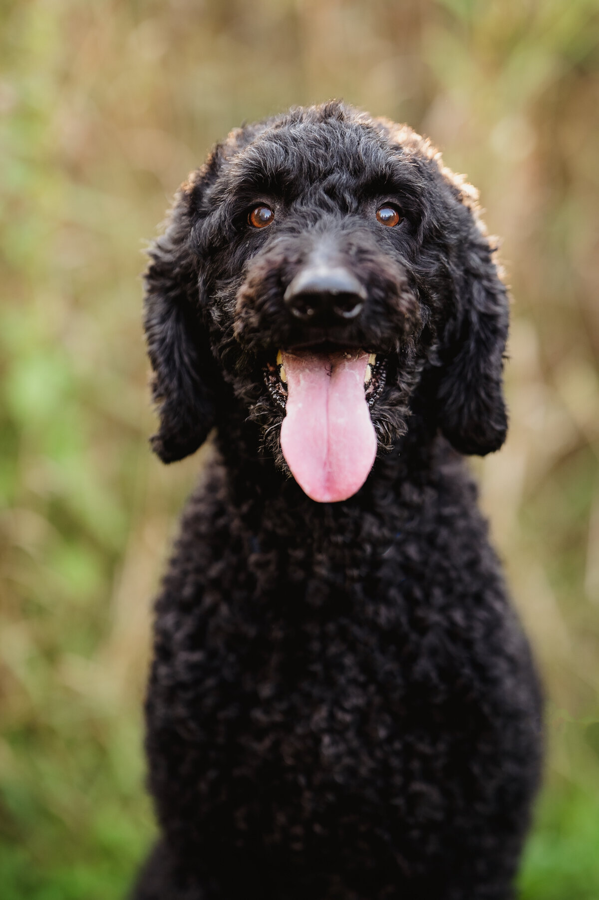 AmandaS_Fall2025_034