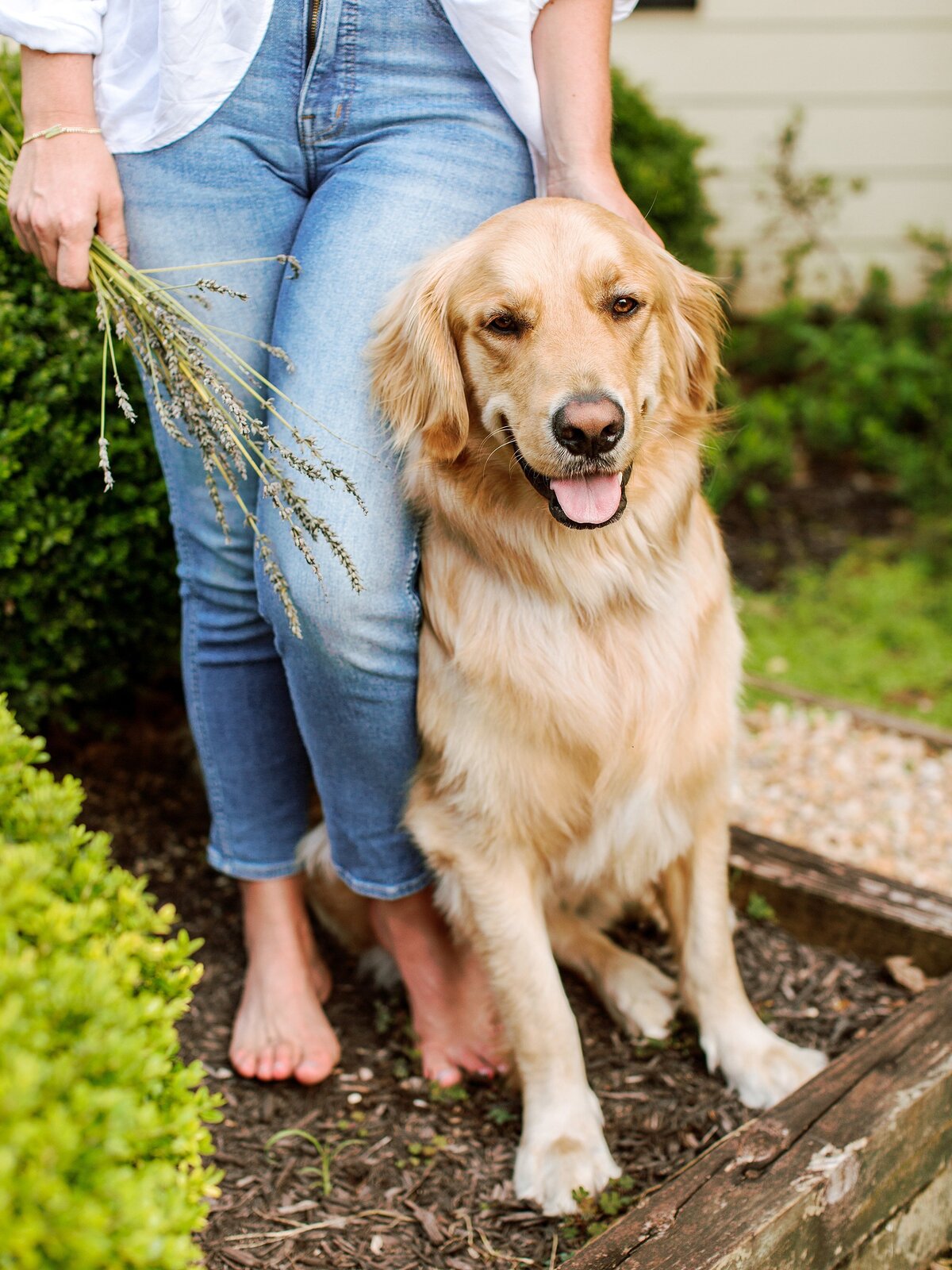 MollyCrouch_LifestyleCoach_CharlottesvilleBranding_AmyNicolePhotography-0023