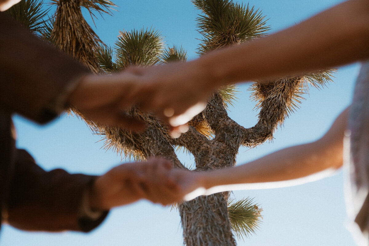 dwightbdaysession_joshuatree-014