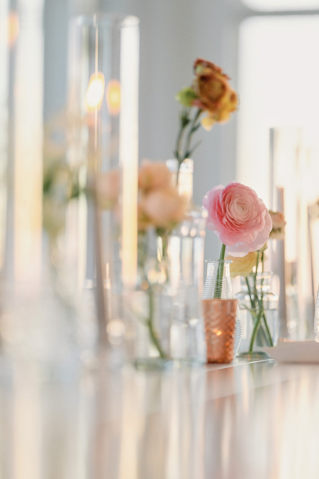 Theresa_and_Jordan_wedding_photos-441
