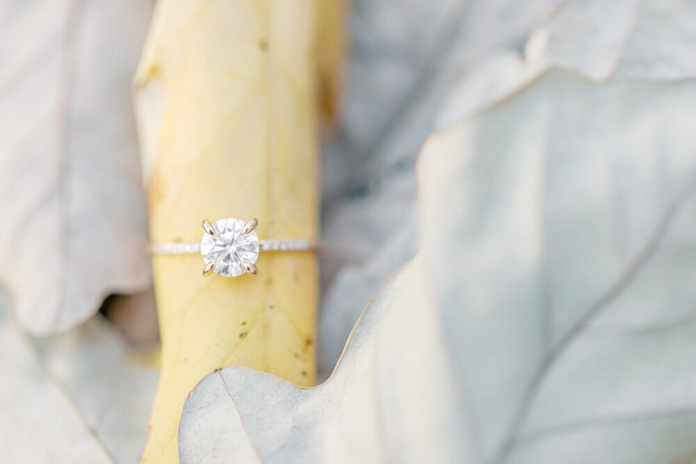 ENP - Garden Engagement Session with Willow Trees near ATL Georgia - Atlanta Wedding Photographer - Light and Airy Film Wedding Photographers in GA-11