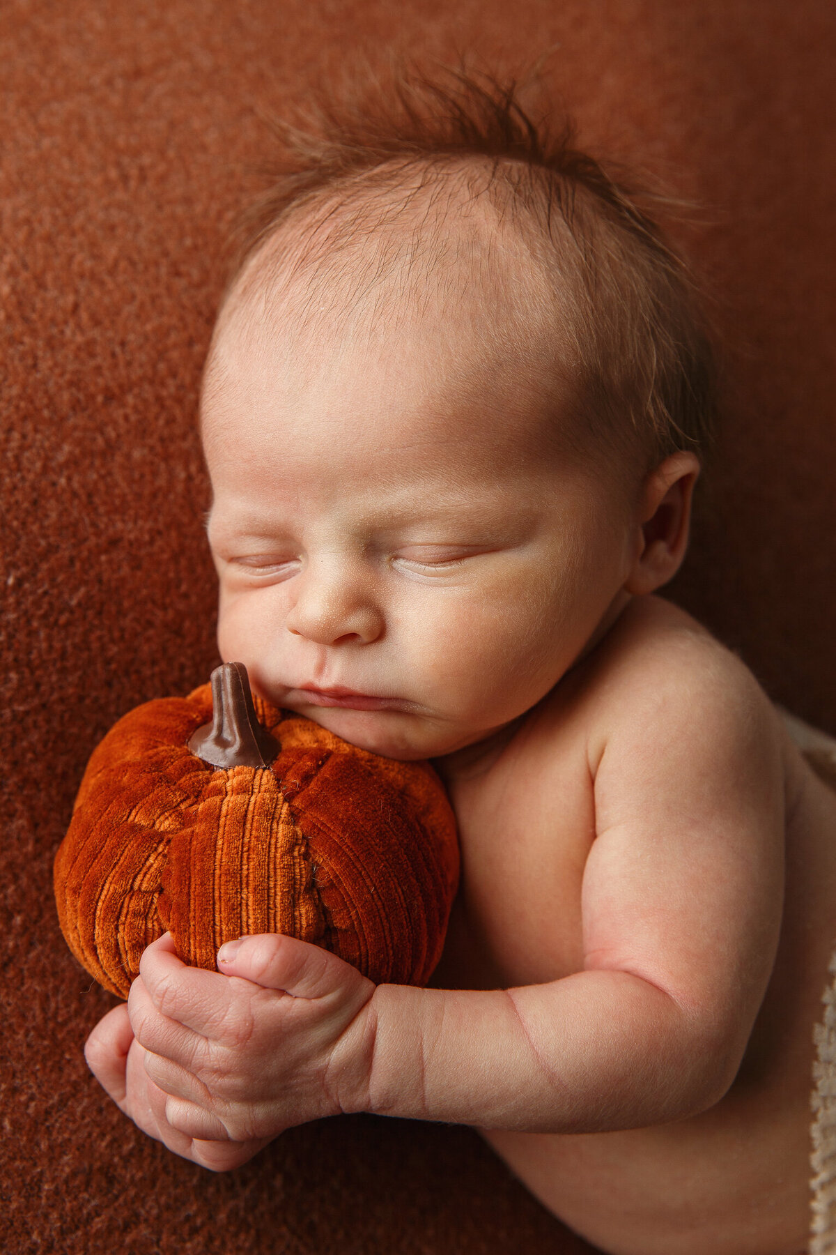 Closeup of a newborn using a stuffed pumpkin as a pillow photographed by Madison area photographer Life in Pink