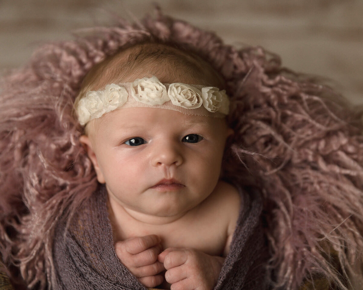 Newborn girl wide awake wrapped in a purple wrap with a lace white headband.