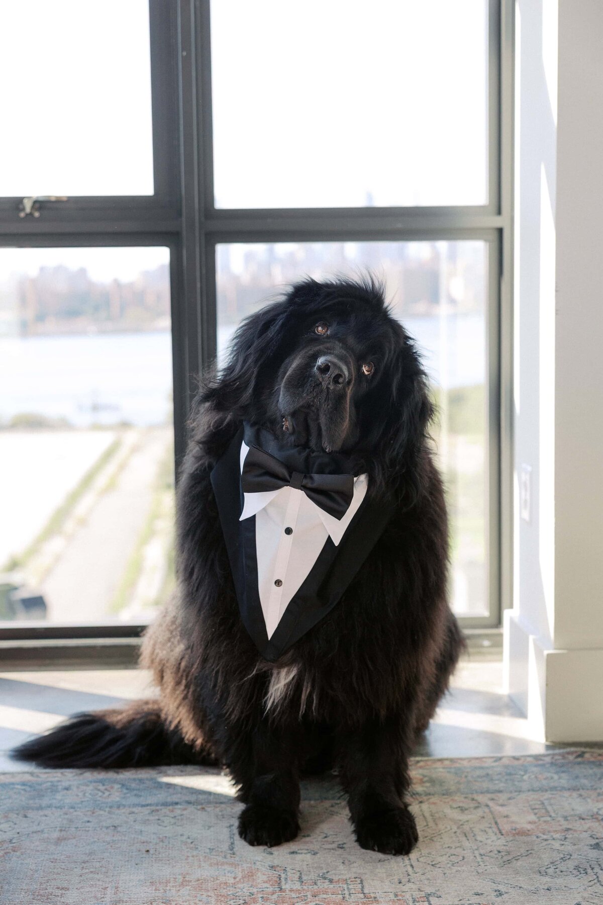 Wythe_Hotel_wedding_photos_45