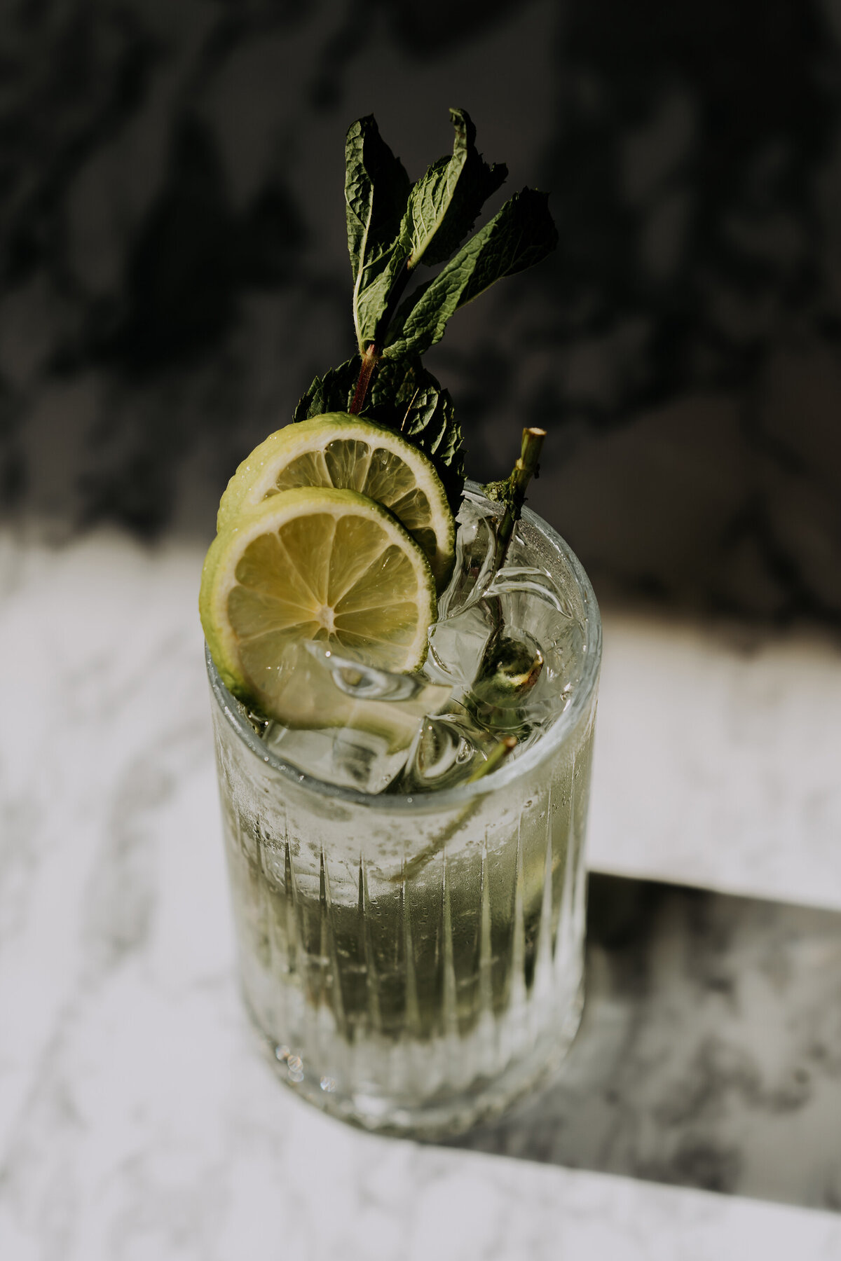 Lotte-Bosschieter-Photography-Branding-Wijnbar Vindict Amsterdam 2