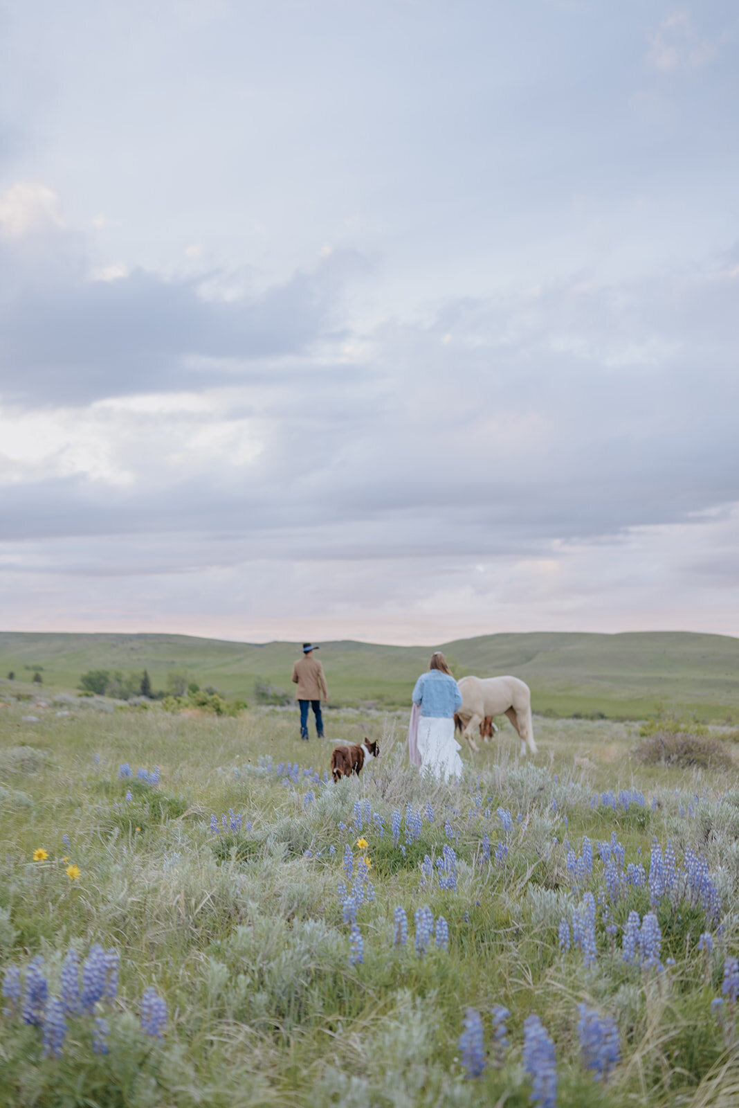 Carly-Patrick-Sheridan-Wyoming-Elopement-369