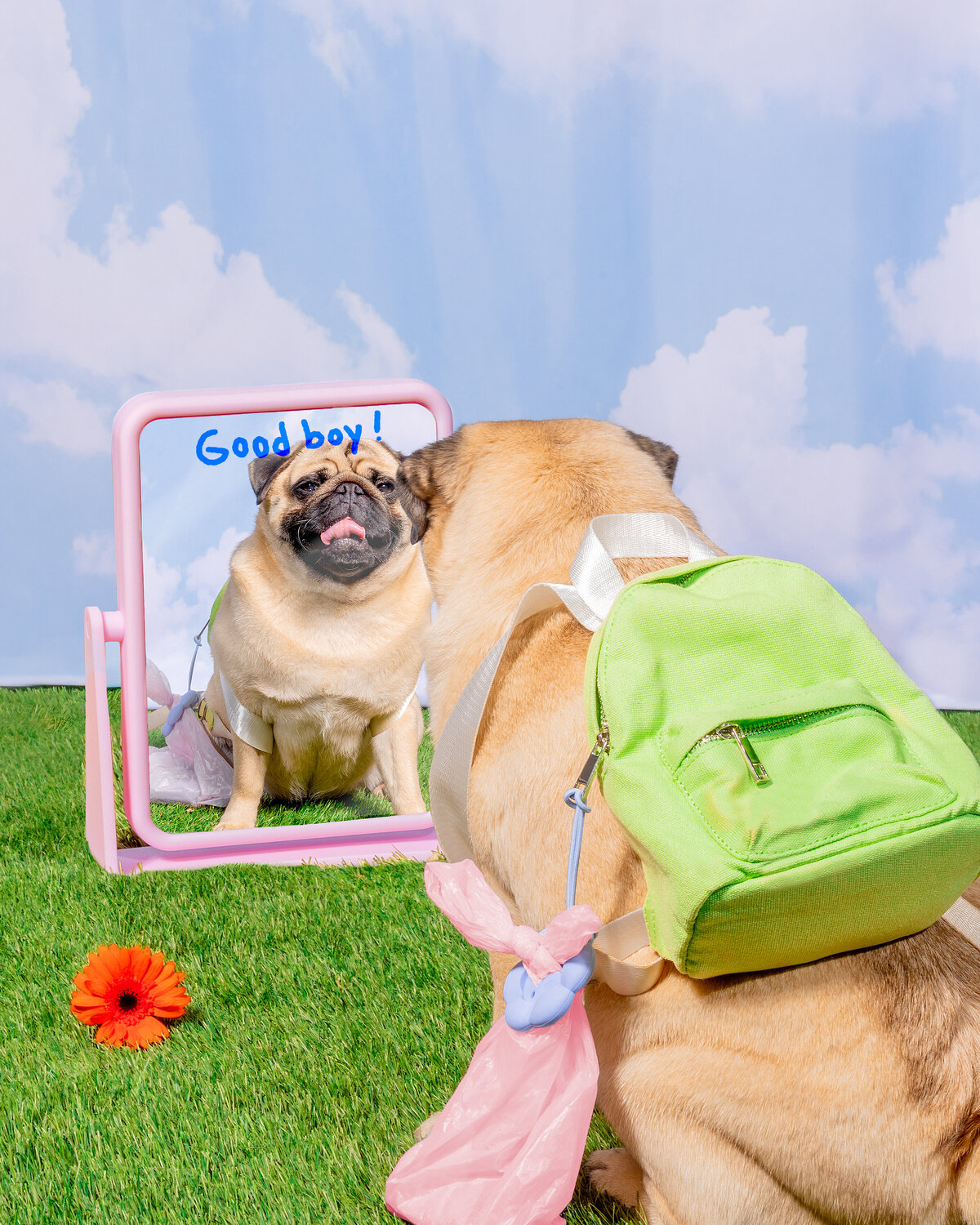 Mirror talk- Poopsy Daisy 2838 x 3548