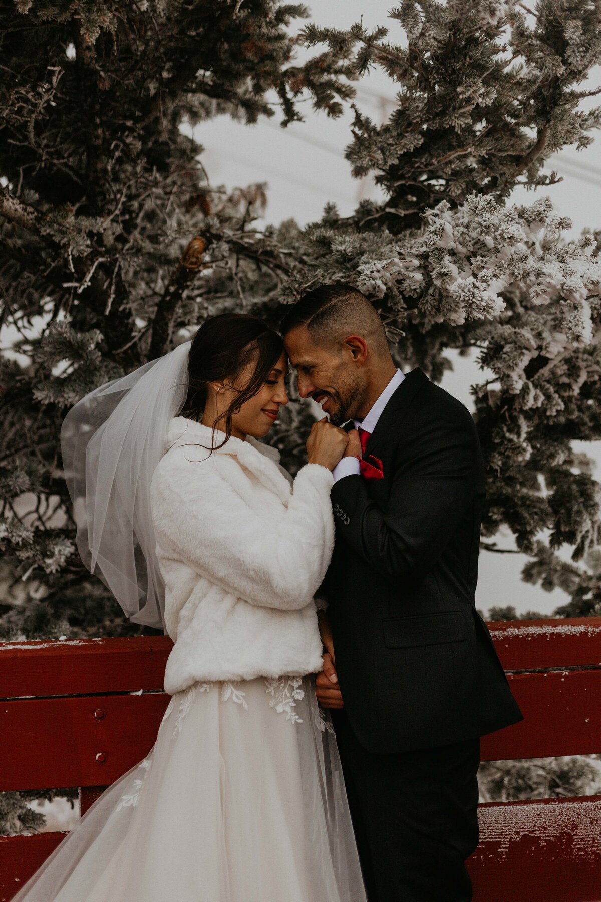sandia-peak-tram-elopement-new-mexico-33
