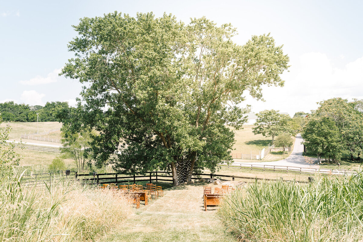 northern-virginia-farm-wedding-venues-with-accommodations00019