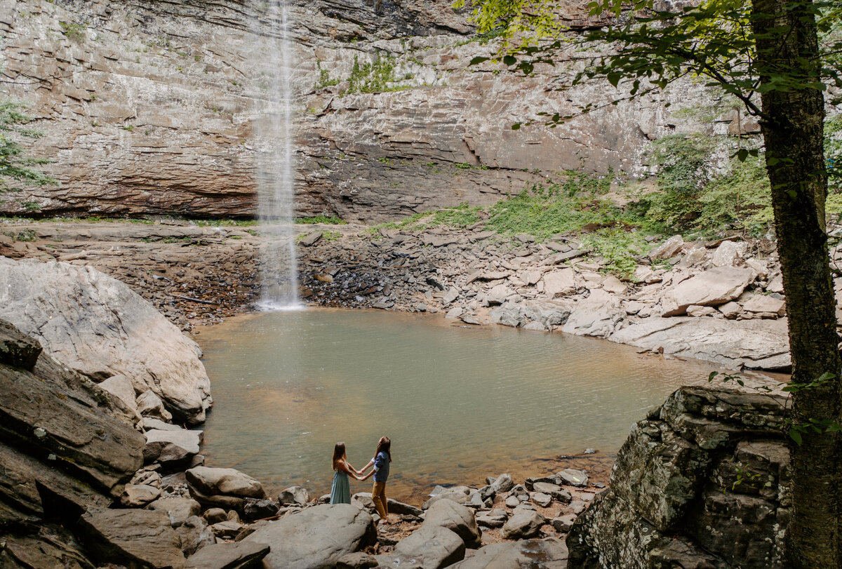 C&D DRONE IMAGES _ Roots of the Rose Photography-5