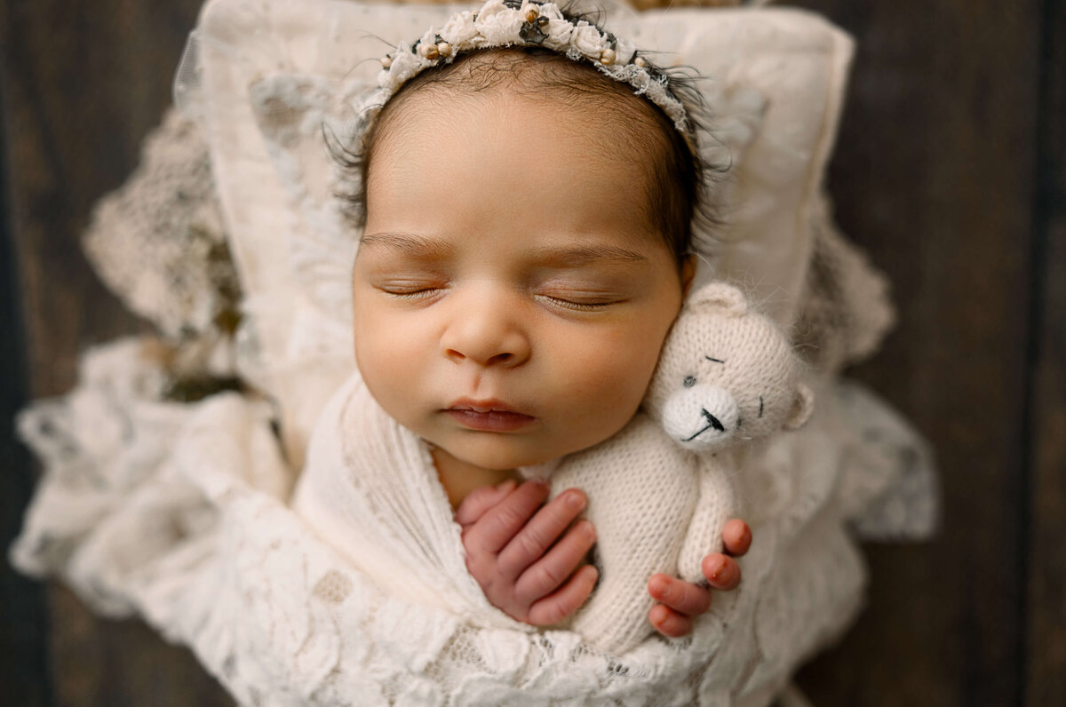 Erie Pa Newborn Photographer