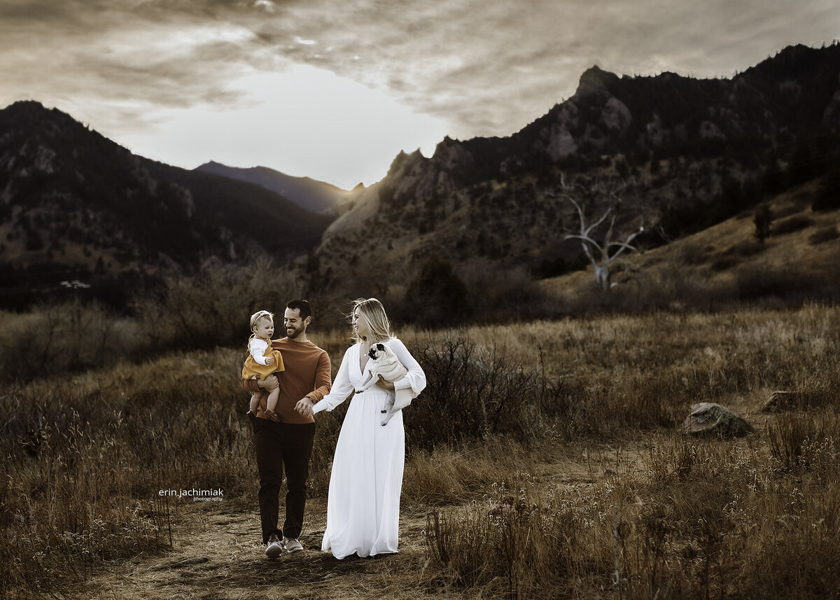 Sunset family portraits in a field at sunset with Erin Jachimiak Photography