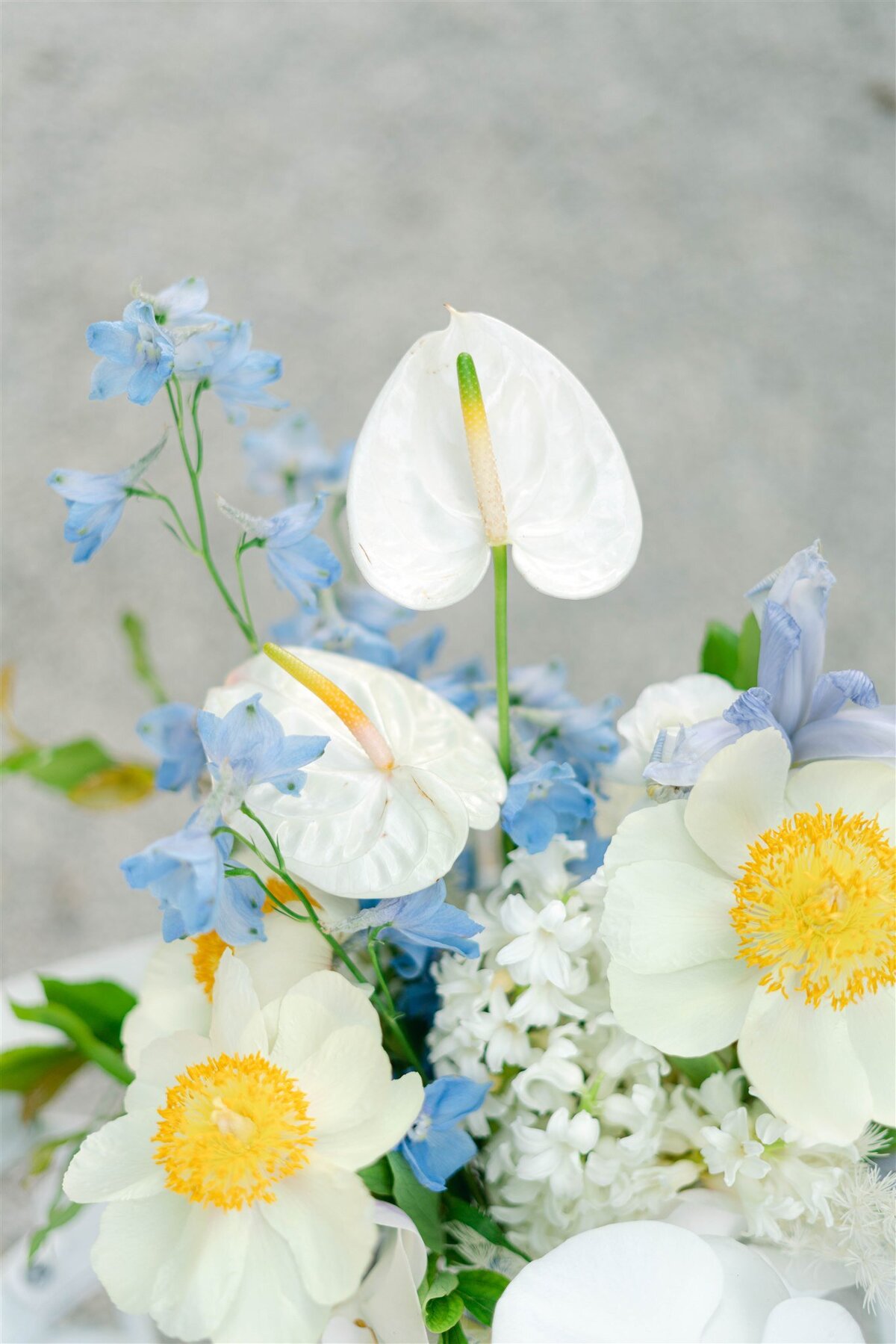 Miami Garden Wedding - Justine Berges512