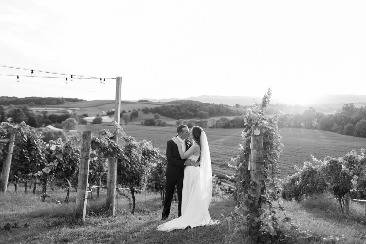 Bluestone-Vineyard-Wedding-Photography-5