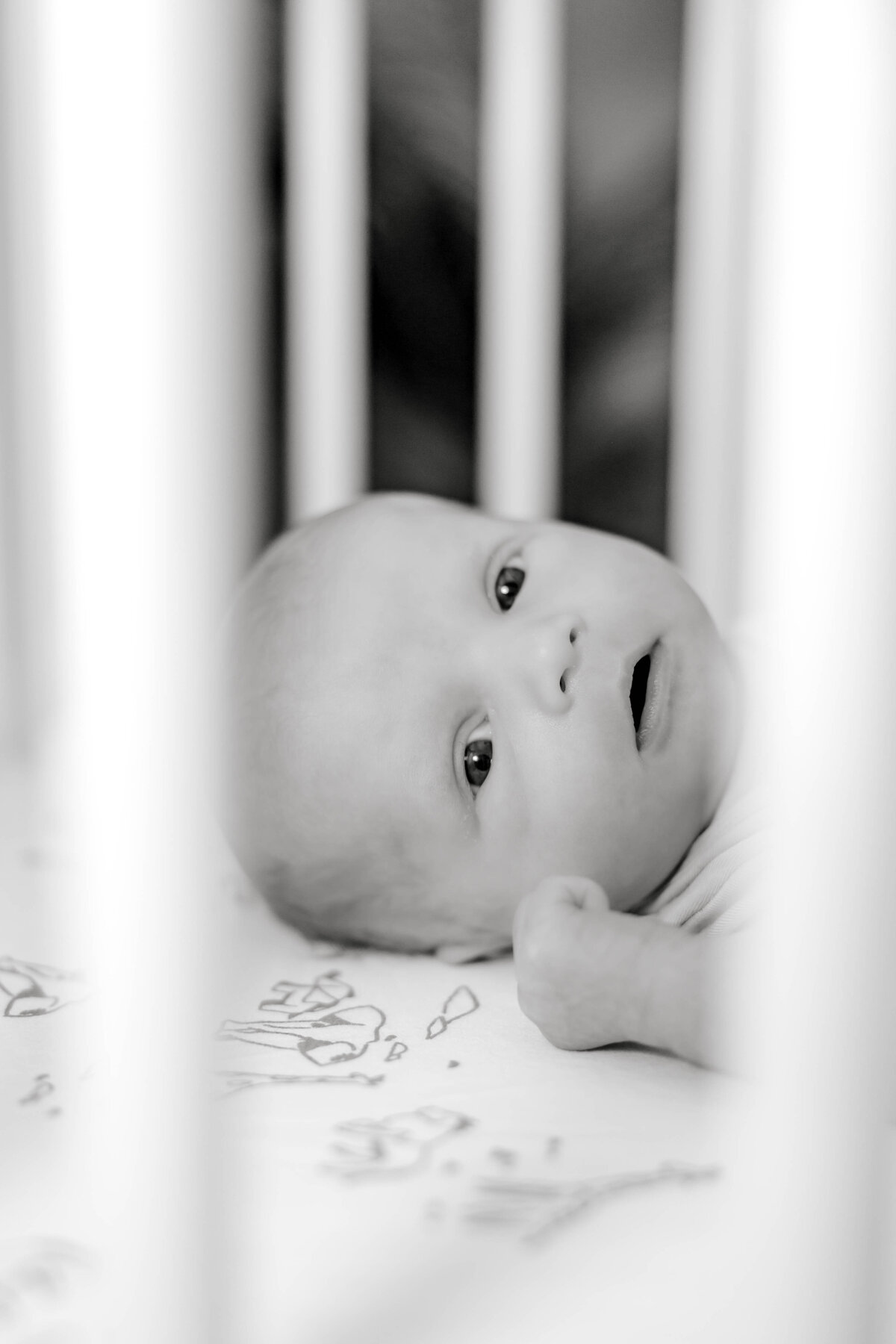 Powell Newborn-44