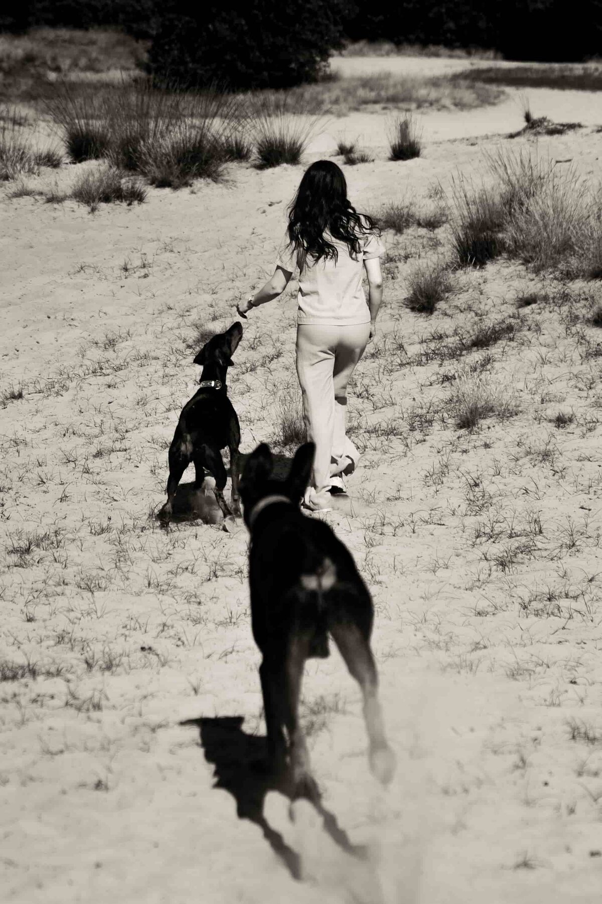 Dobermann Maan & Beer en Eva door Hondenfotograaf Vivian Driesen (9 of 20)-min