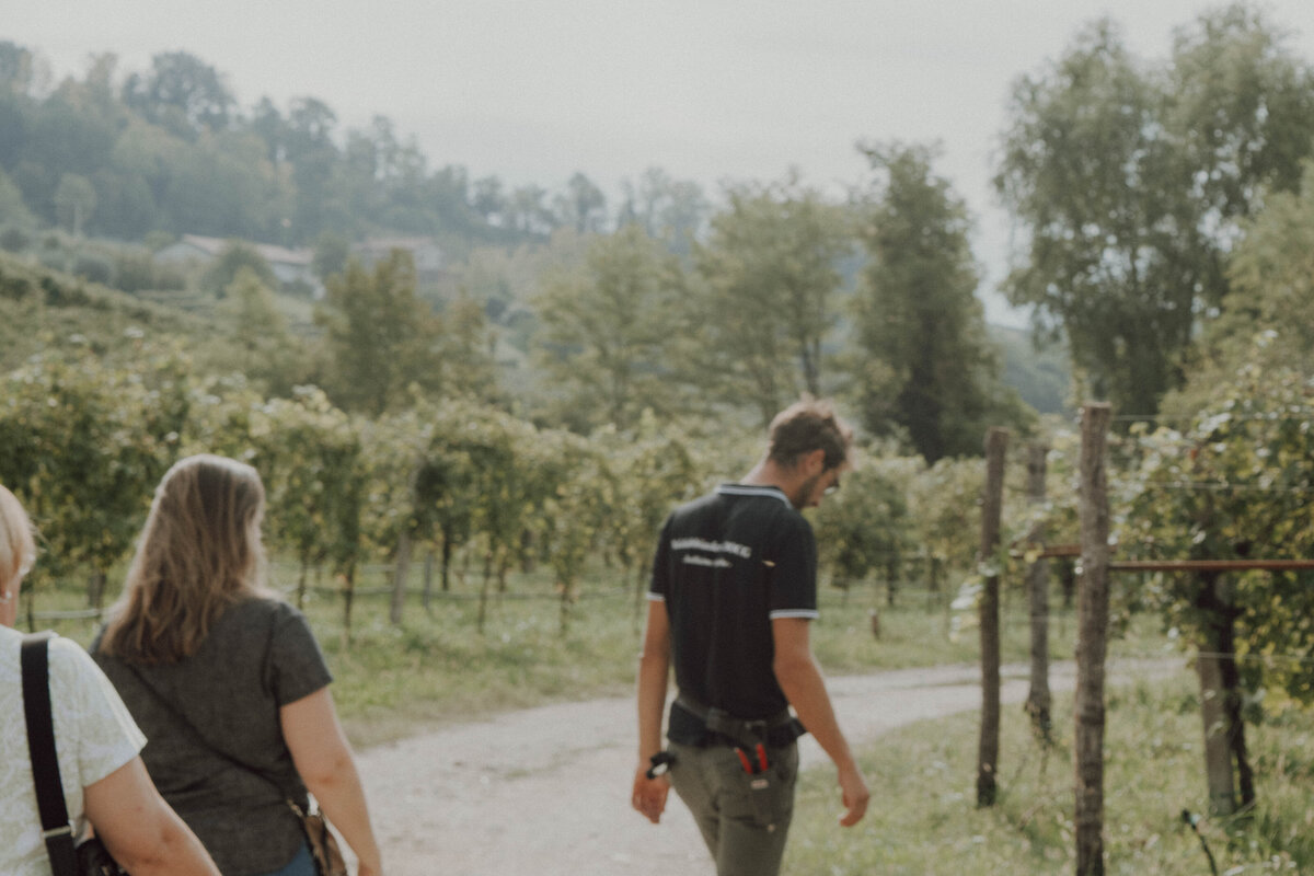 Veneto Wine Tour (12 of 91)