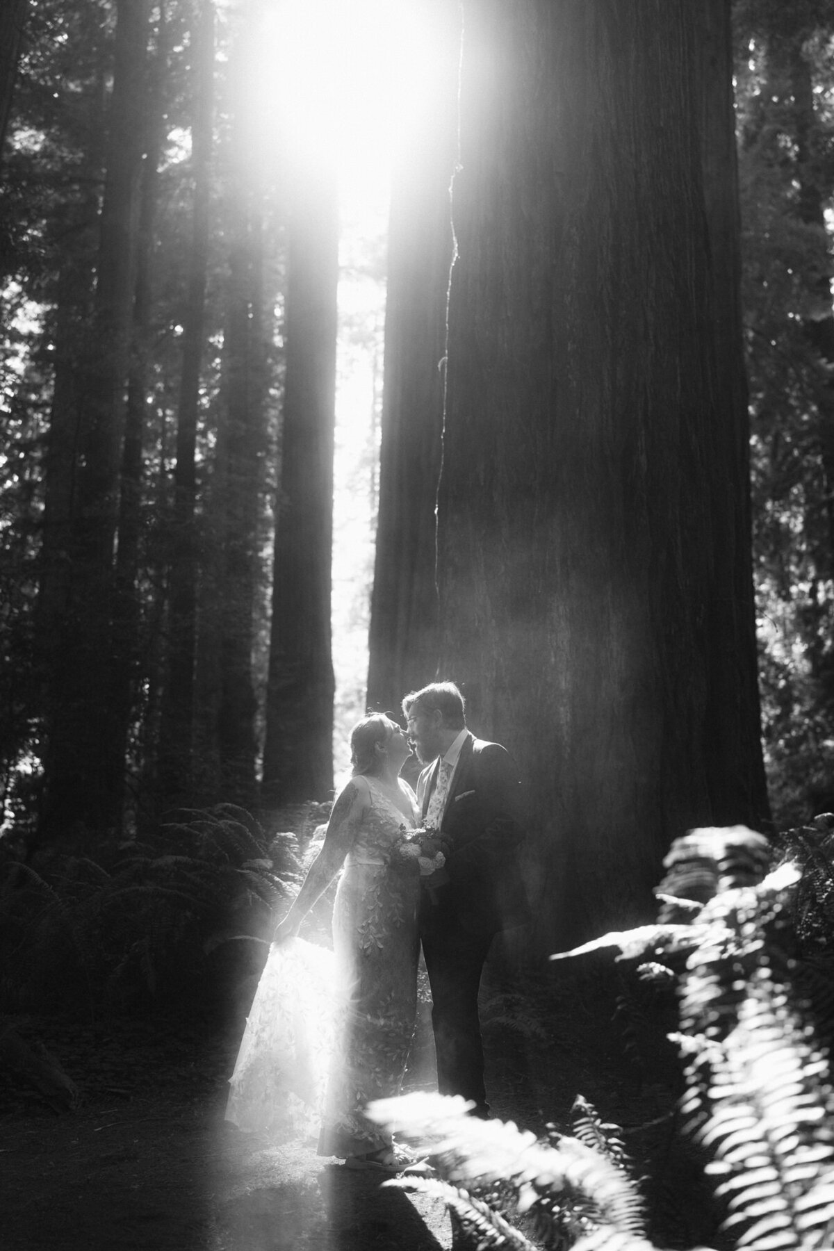 the_chaffins_international_destination_wedding_elopement_photographers_sammie_chaffin_micah_editorial_adventure_photos_travel_redwoods_national_park_20