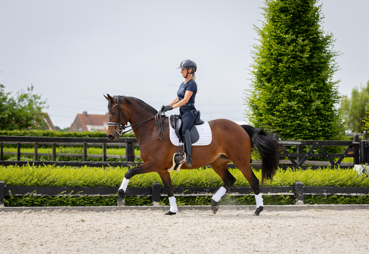 382A5430 - hoge resolutie