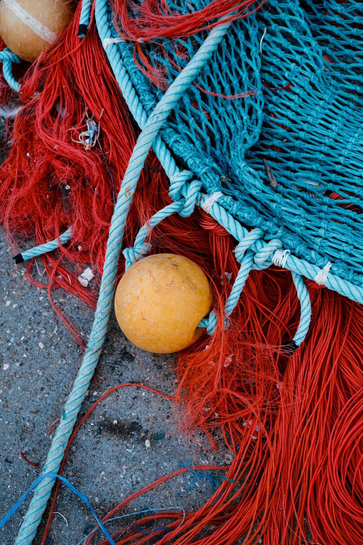 pexels-matreding-18111150