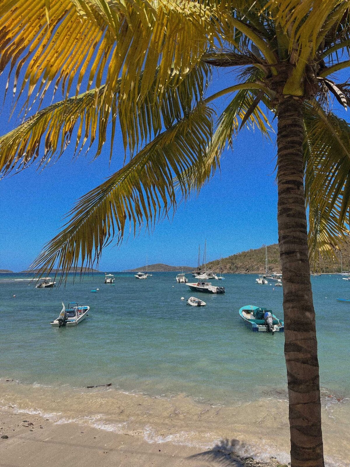 IMG_1629