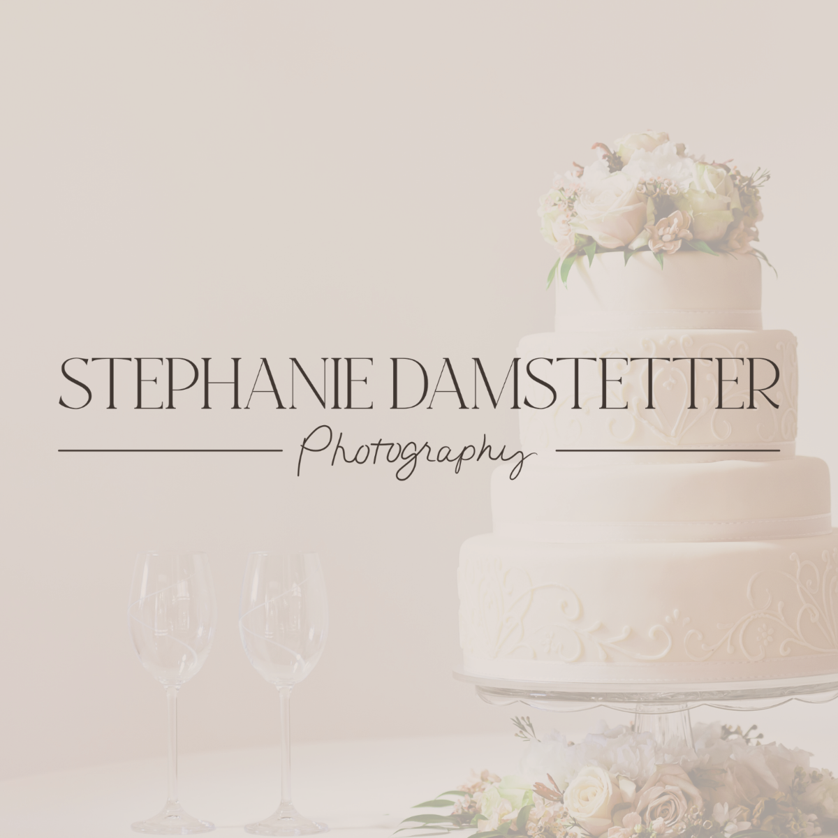 Stephanie Logo 1 cake