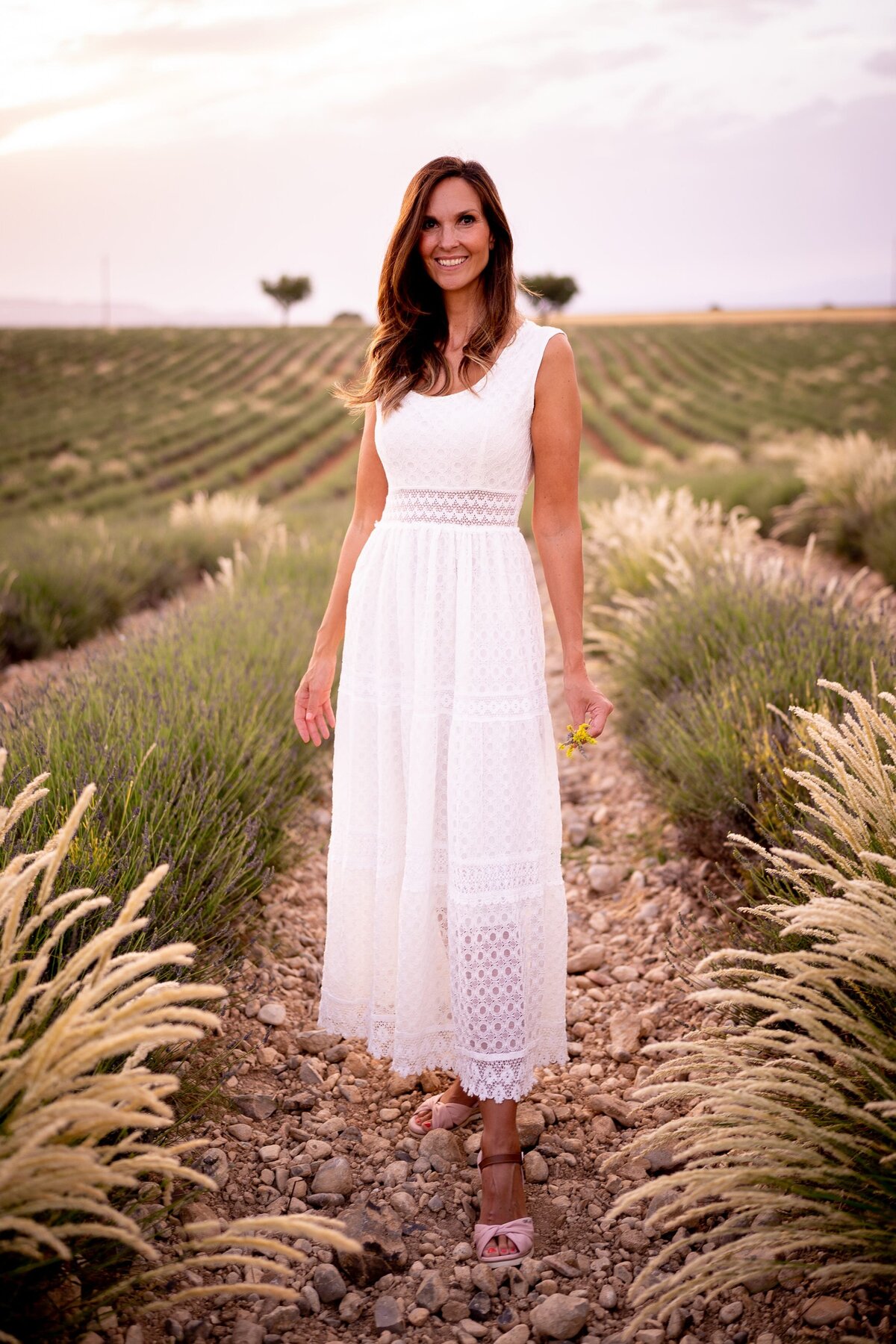 Lavender field provence photoshoot