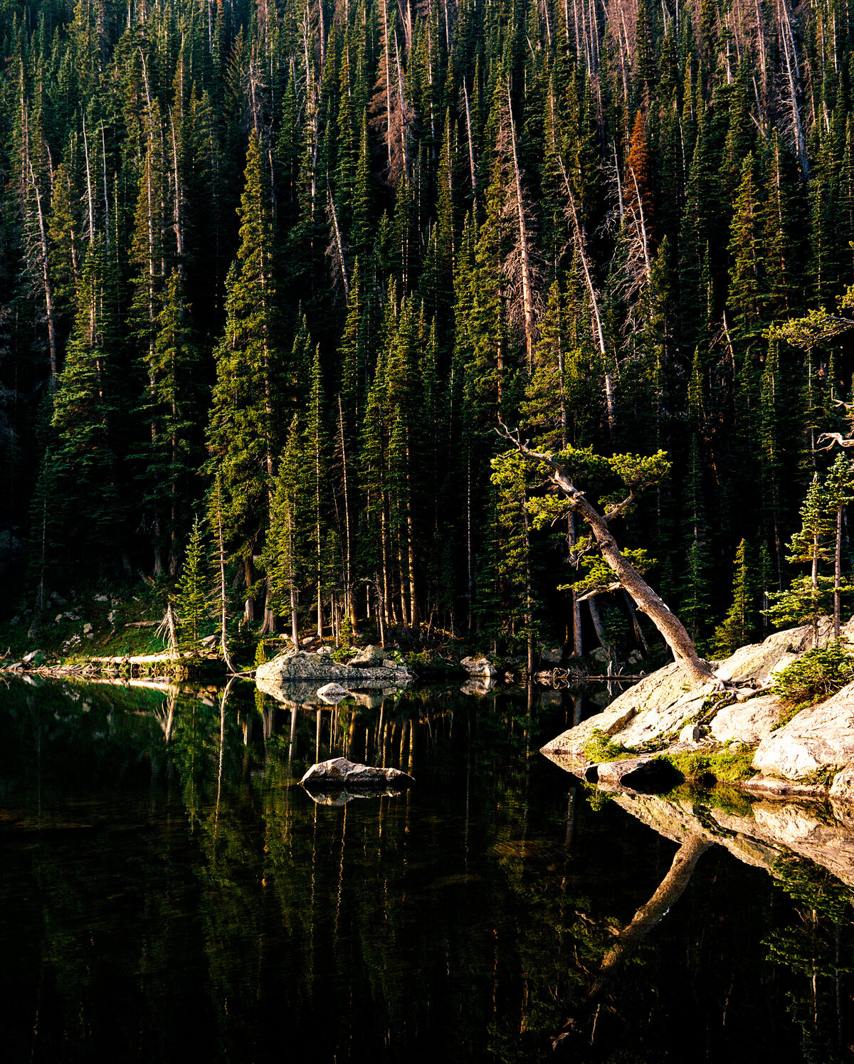 Rocky Mountain National Park
