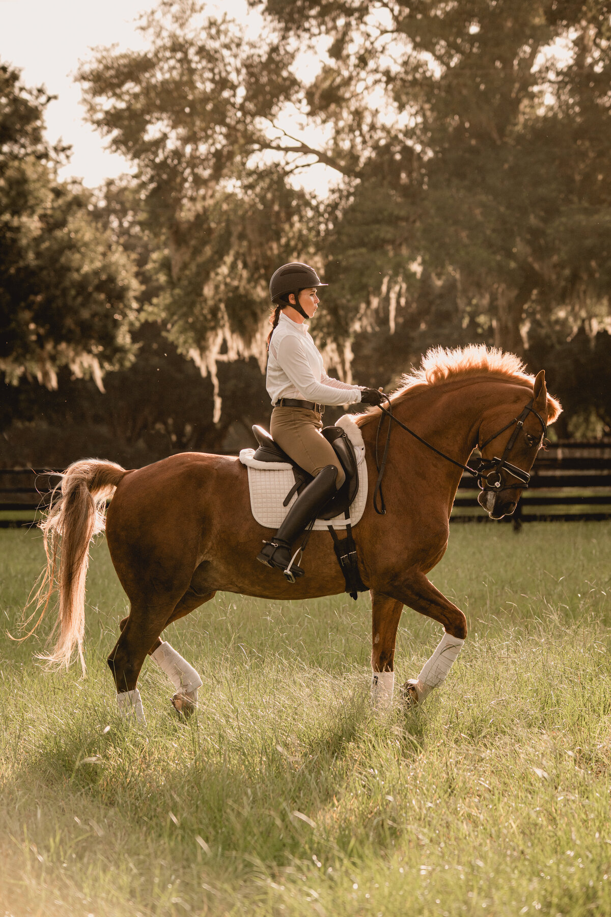 Dressage rider doing piaffe for photoshoot in Ocala