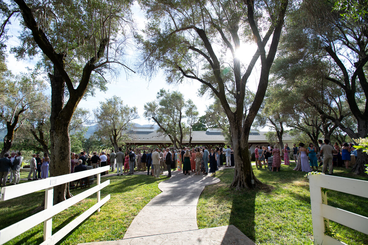 KenVialePhotography-844