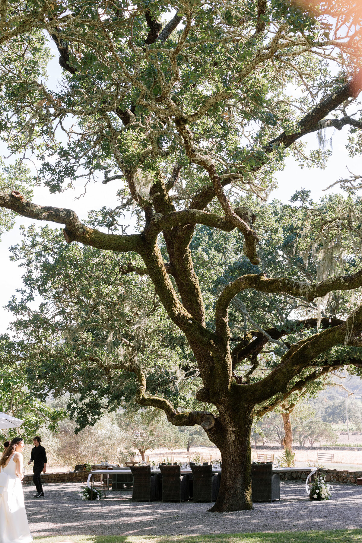 NatalieMax-Wedding-crystalkphotos-491