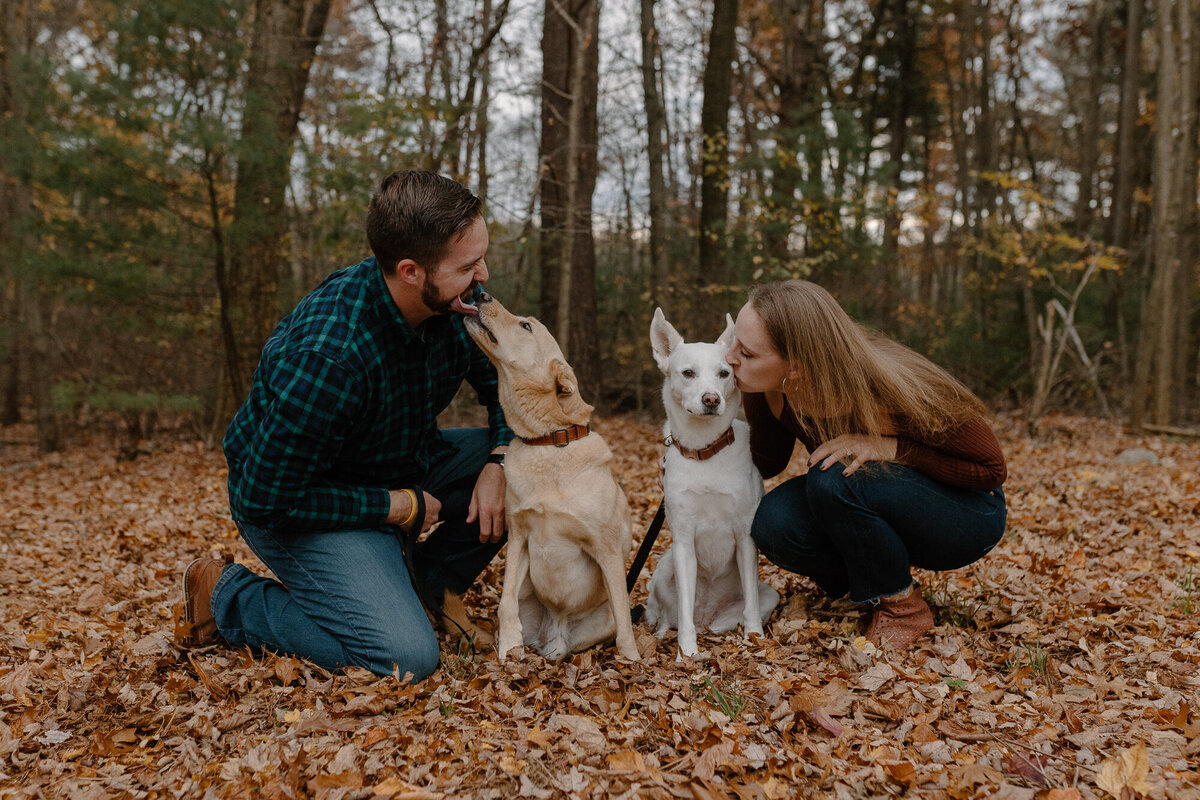 engaged couple with dogs